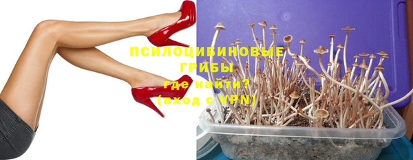 jwh Богородск