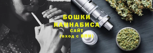 стаф Богданович