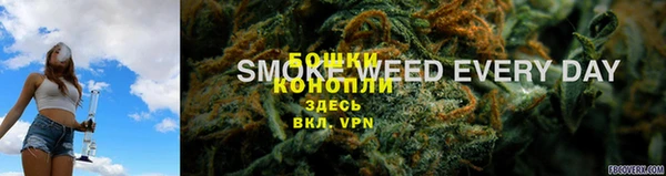 тгк Богородицк