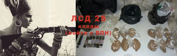 стаф Богданович