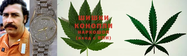 амф Белоозёрский