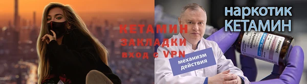 стаф Богданович