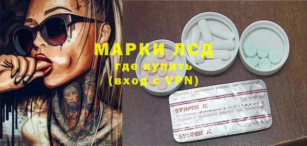 стаф Богданович