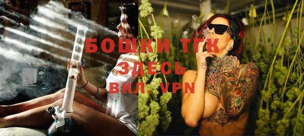 кристаллы Гусь-Хрустальный