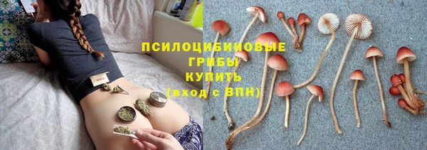 амф Белоозёрский