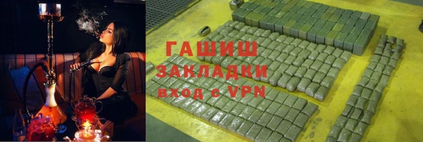 стаф Богданович