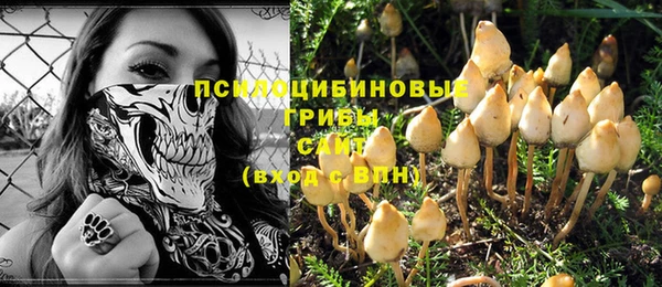 стаф Богданович